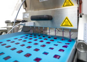 gummy manufacturing